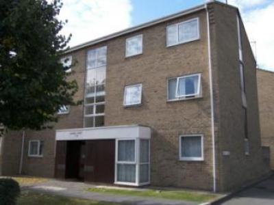 Annonce Location Appartement Peterborough