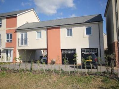 Annonce Location Appartement Exeter