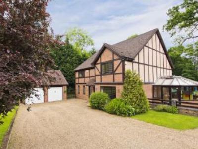 Annonce Location Maison Leatherhead