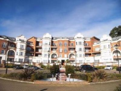 Annonce Location Appartement Ascot