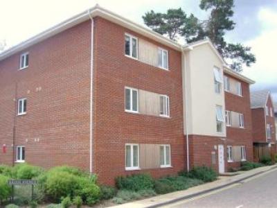 Annonce Location Appartement Ascot