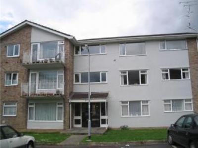 Annonce Location Appartement Yeovil