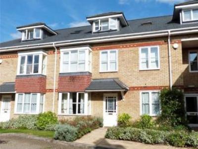 Annonce Location Appartement Ascot