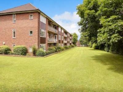 Annonce Location Appartement Banstead