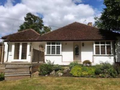 Annonce Location Maison Leatherhead