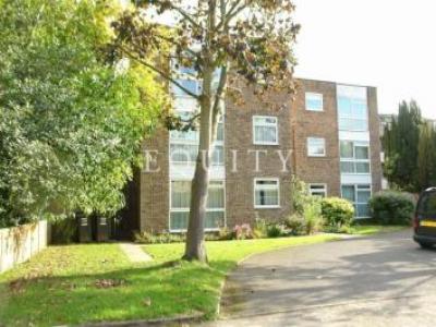 Annonce Location Appartement Enfield