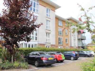 Annonce Location Appartement Southampton