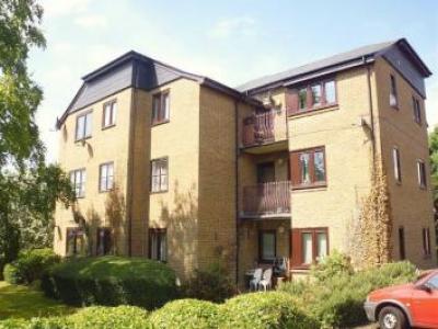 Annonce Location Appartement Buckhurst-hill