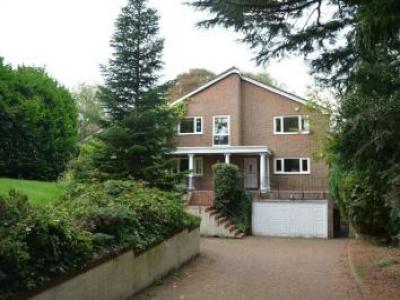 Annonce Location Maison Tadworth