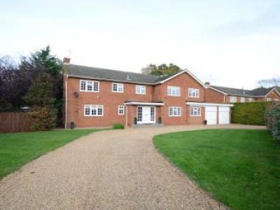 Annonce Location Maison Maidenhead