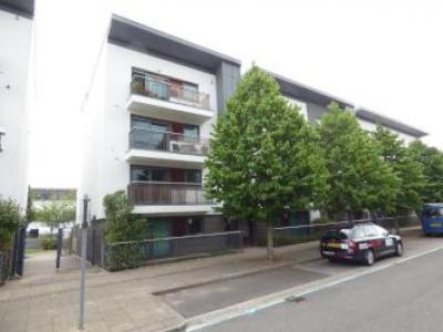 Annonce Location Appartement Southampton