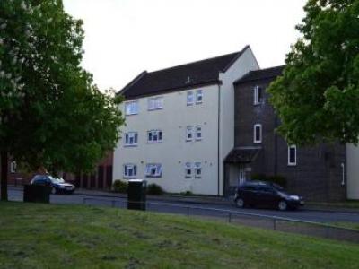 Annonce Location Appartement Norwich