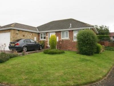 Annonce Location Maison Newcastle-upon-tyne