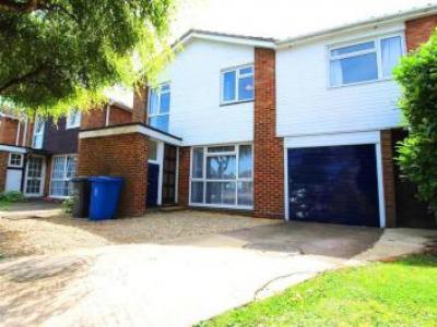 Annonce Location Maison Maidenhead