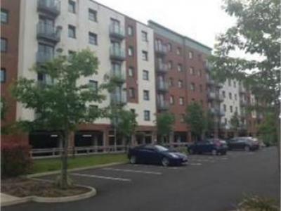 Annonce Location Appartement St-helens