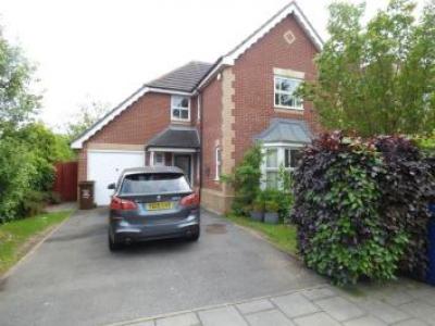 Annonce Location Maison Newcastle-upon-tyne