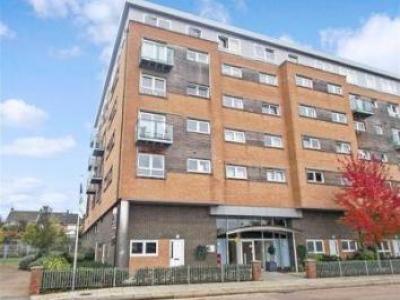 Annonce Location Appartement Basildon