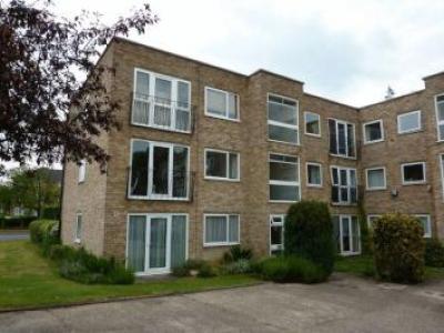 Annonce Location Appartement Maidenhead