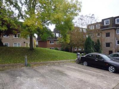 Annonce Location Appartement South-croydon