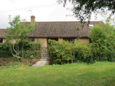 Annonce Location Maison Warminster