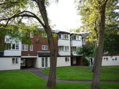 Annonce Location Appartement Bracknell