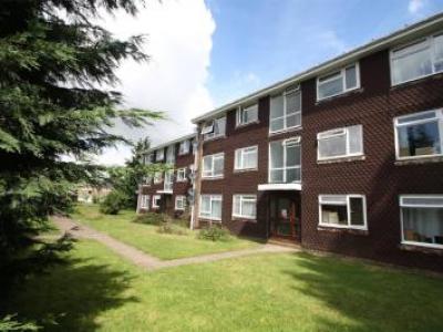 Annonce Location Appartement Horley