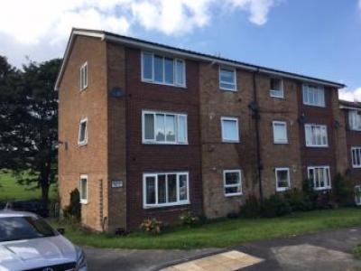 Annonce Location Appartement Sheffield