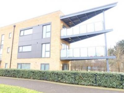 Annonce Location Appartement Milton-keynes