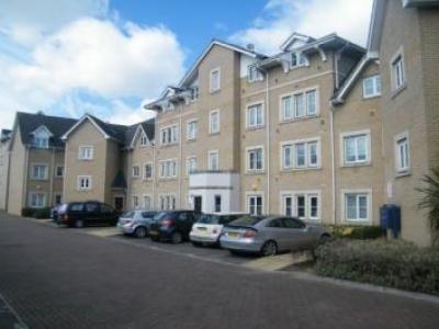 Annonce Location Appartement Basildon