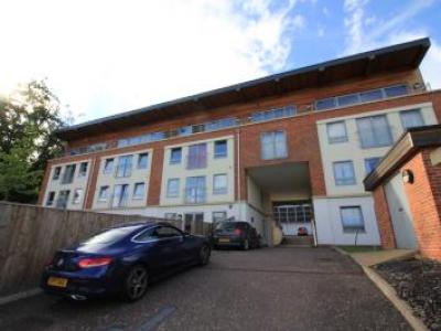 Annonce Location Appartement Norwich