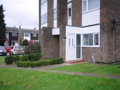 Annonce Location Appartement Chelmsford