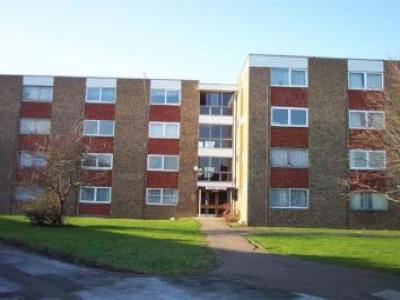 Annonce Location Appartement Bedford