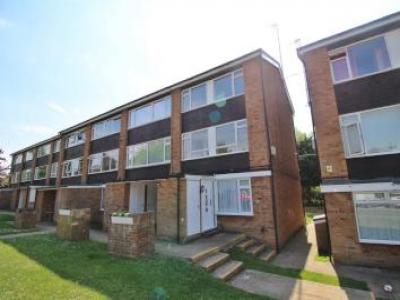 Annonce Location Appartement Borehamwood