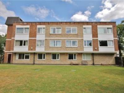 Annonce Location Appartement Twickenham