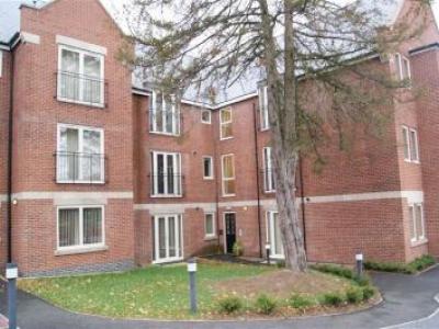 Annonce Location Appartement Belper