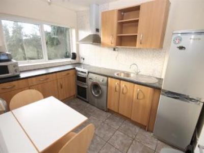 Annonce Location Appartement Norwich