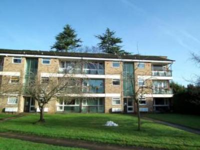 Annonce Location Appartement Weybridge