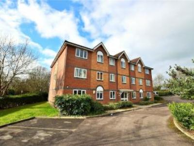 Annonce Location Appartement Bracknell