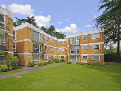 Annonce Location Appartement Enfield