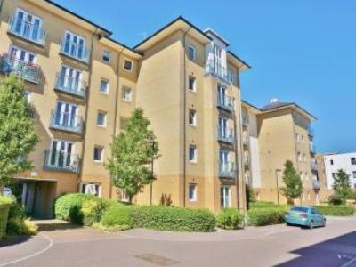 Annonce Location Appartement Cambridge