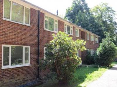 Annonce Location Appartement Horley