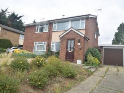 Annonce Location Maison Ipswich