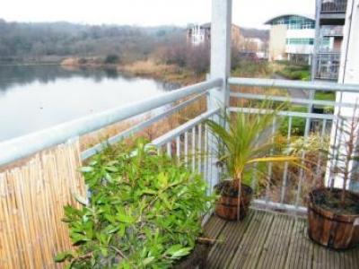 Annonce Location Appartement Cardiff