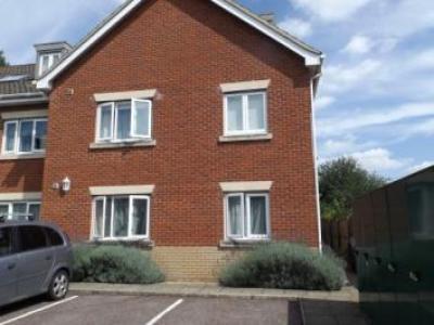 Annonce Location Appartement Norwich