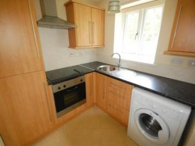 Annonce Location Appartement Durham