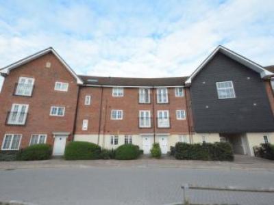 Annonce Location Appartement Bracknell