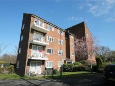 Annonce Location Appartement Banstead