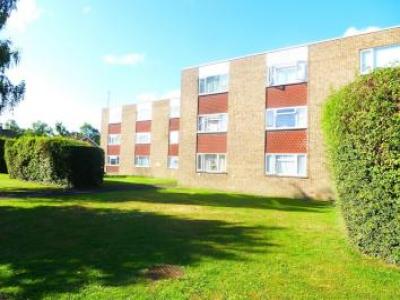 Annonce Location Appartement Romsey