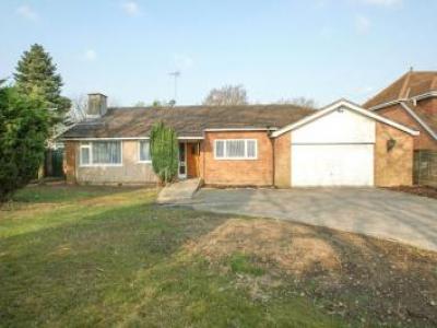 Annonce Location Maison Wokingham