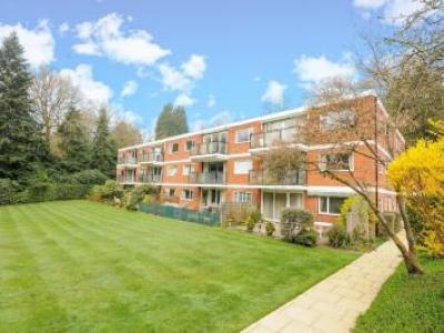 Annonce Location Appartement Ascot